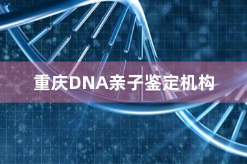 重庆DNA亲子鉴定机构